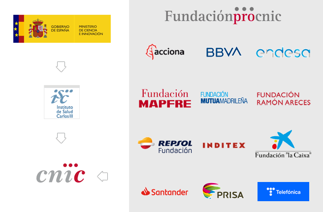 financiación cnic