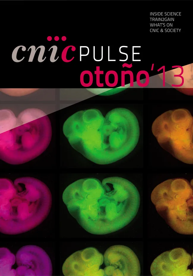 CNIC PULSE OTOÑO 2013