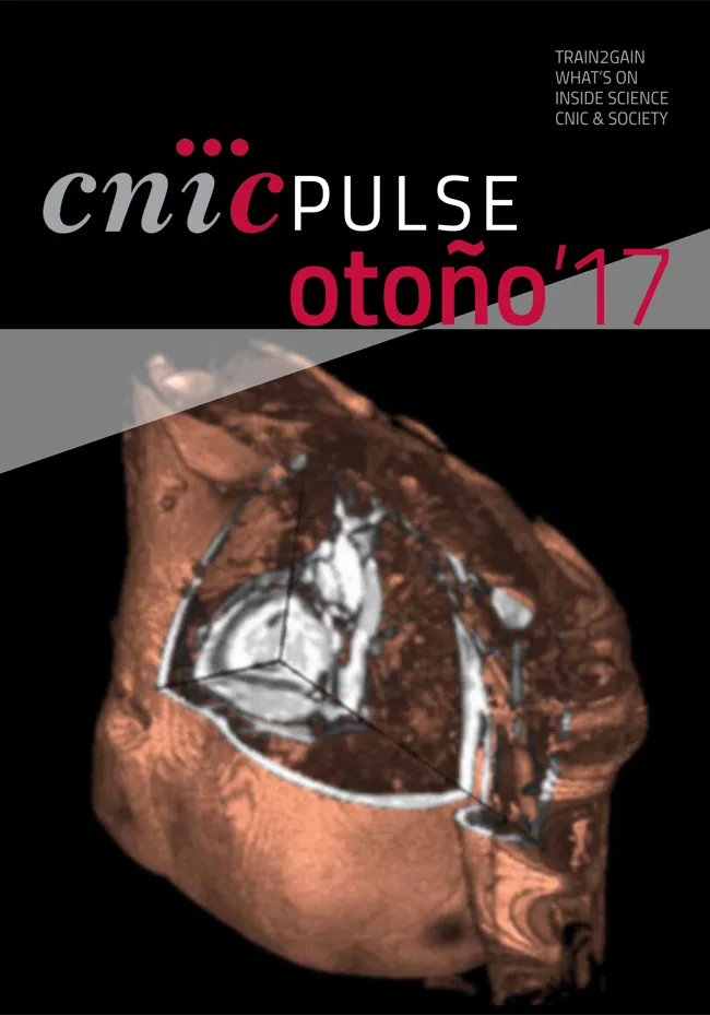 CNIC PULSE OTOÑO 2017