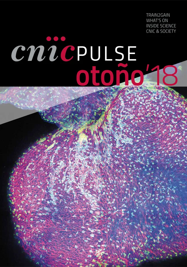 CNIC PULSE OTOÑO 2018