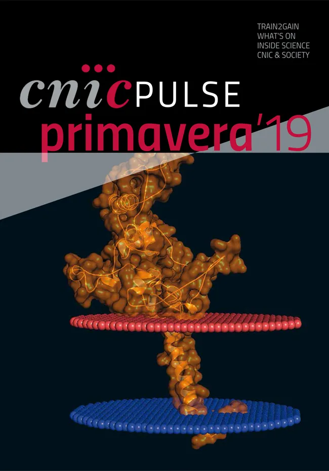 CNIC PULSE PRIMAVERA 2019
