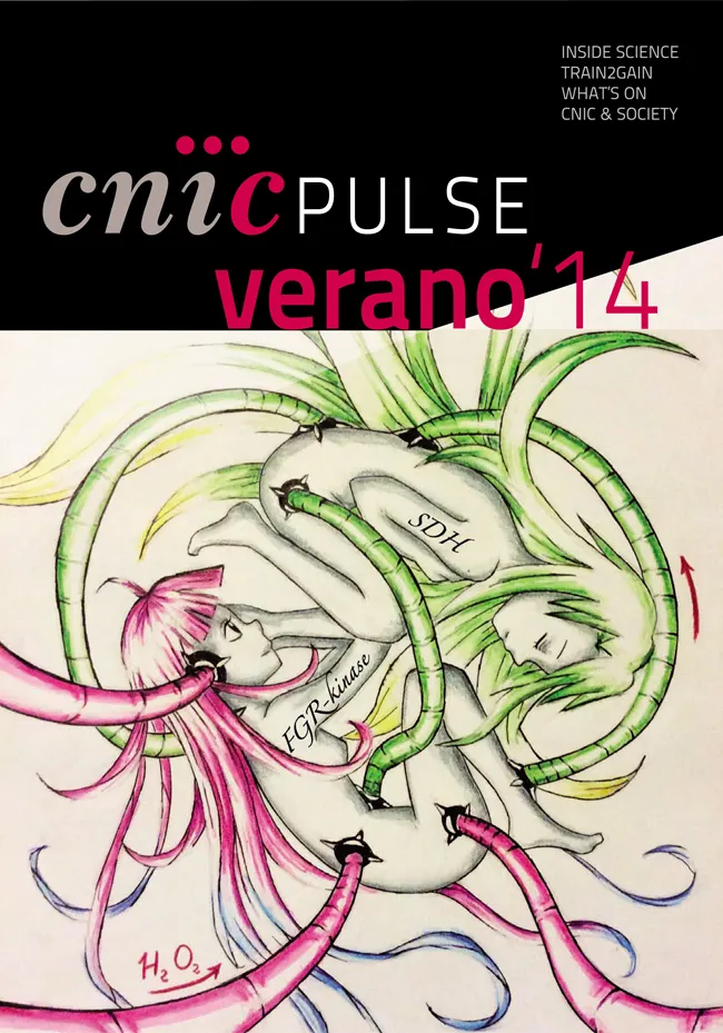 CNIC PULSE VERANO 2014
