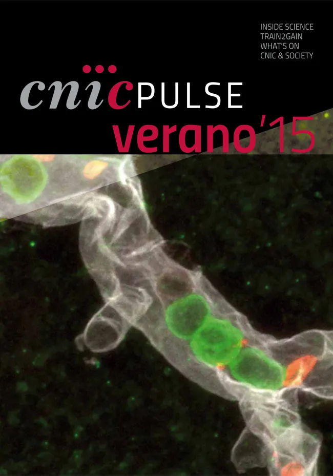 CNIC PULSE VERANO 2015