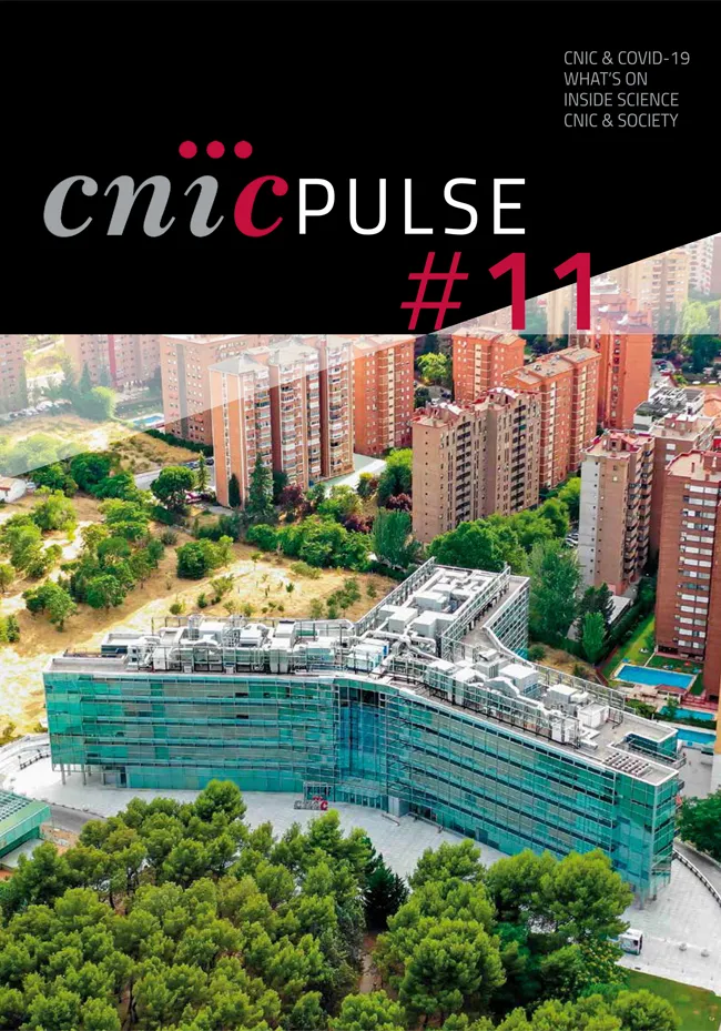 CNIC PULSE 11