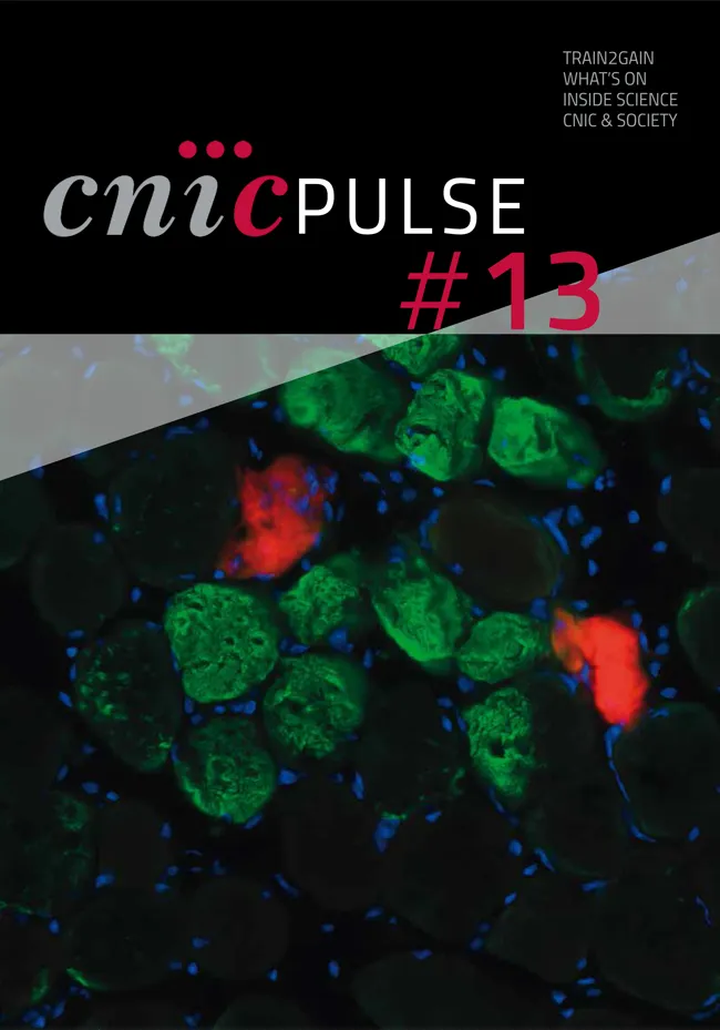 CNIC PULSE 13